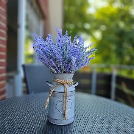 Daire Beim Muehlenpark, Whg 6 *