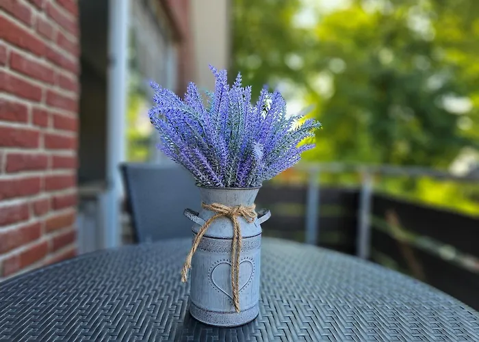 Daire Beim Muehlenpark, Whg 6 *